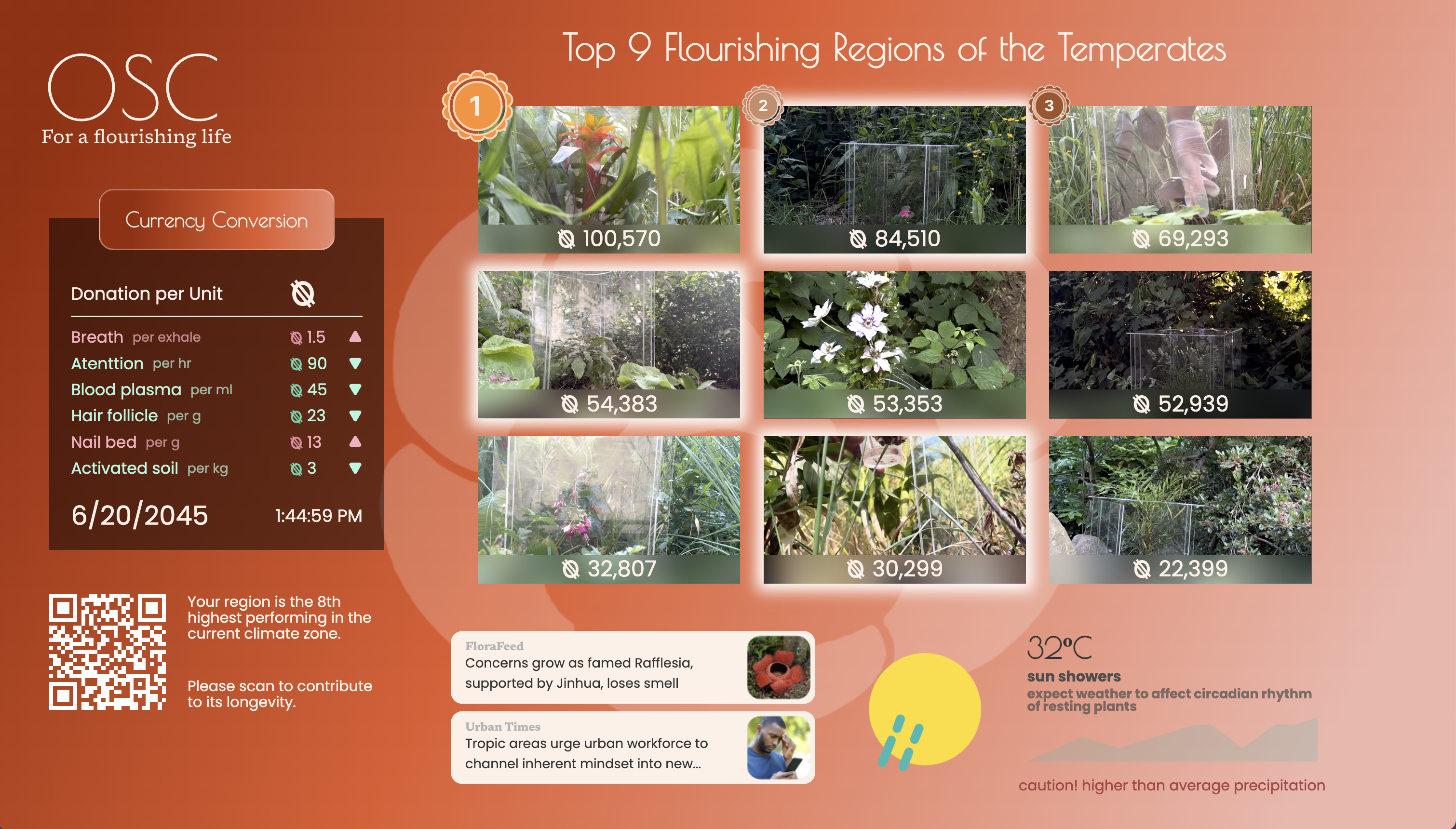 Organic Social Capital - Artwork