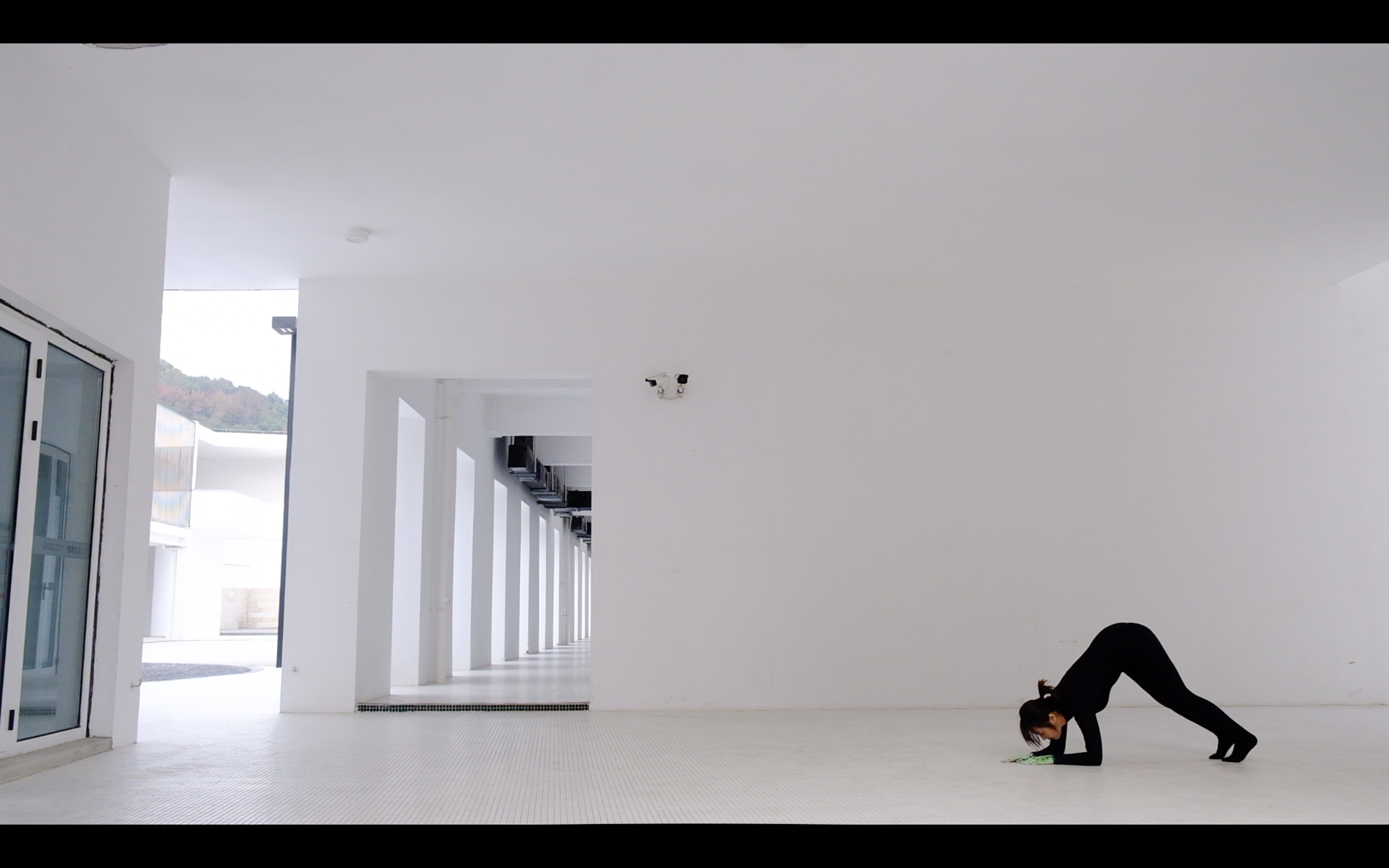 Caterpillar - Artwork