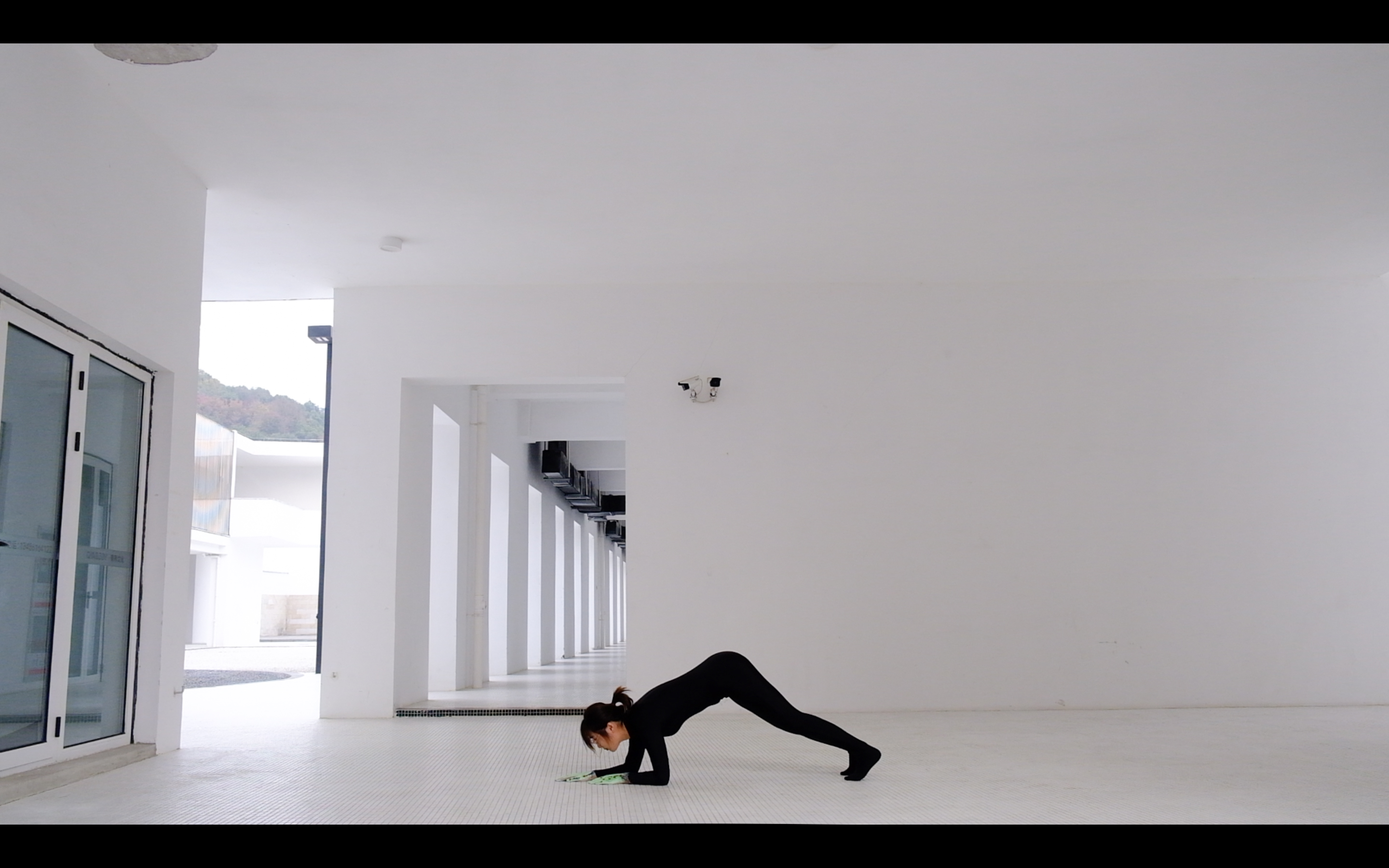 Caterpillar - Artwork