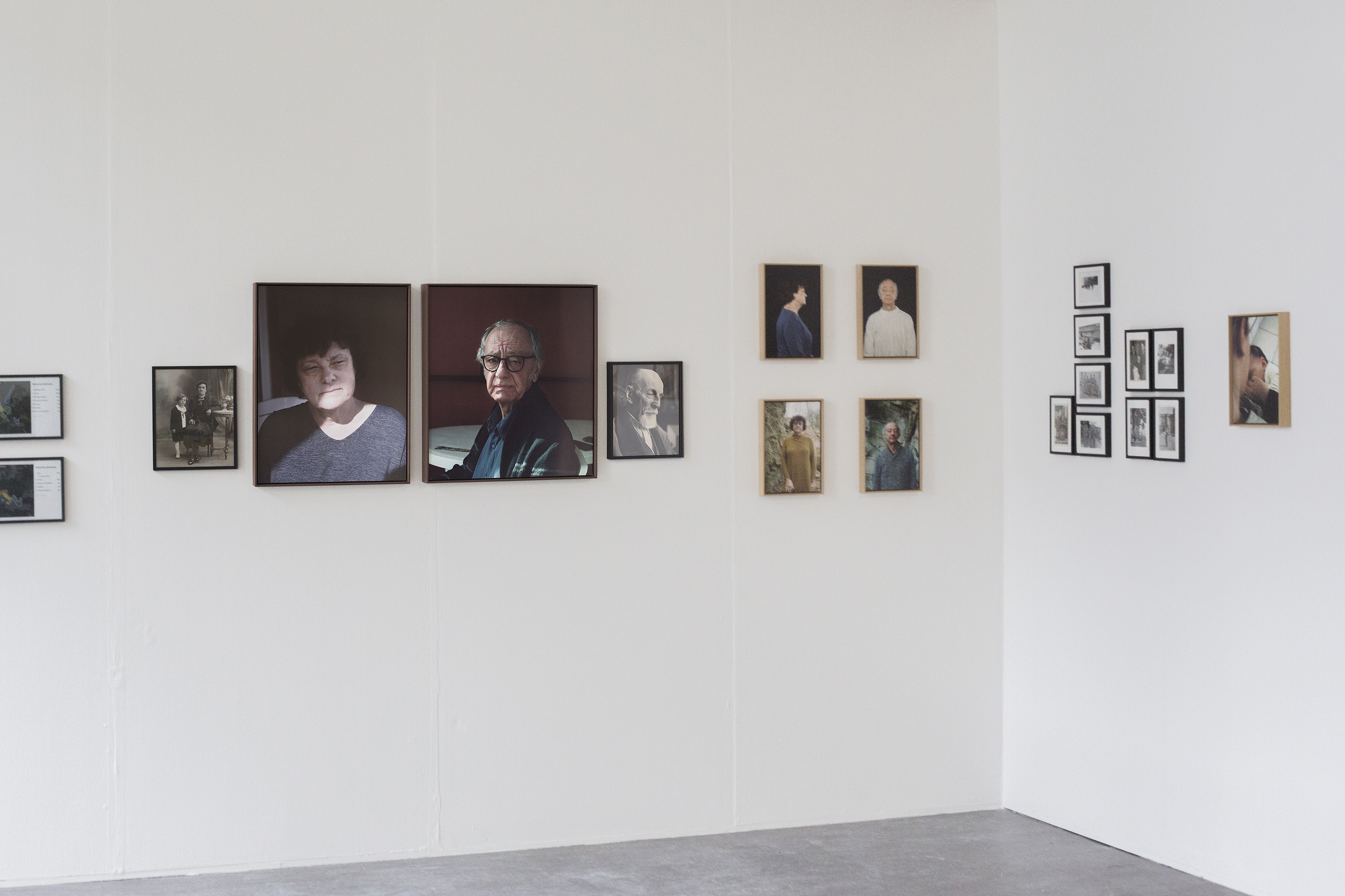 Family portrait I, Diptych - Artwork