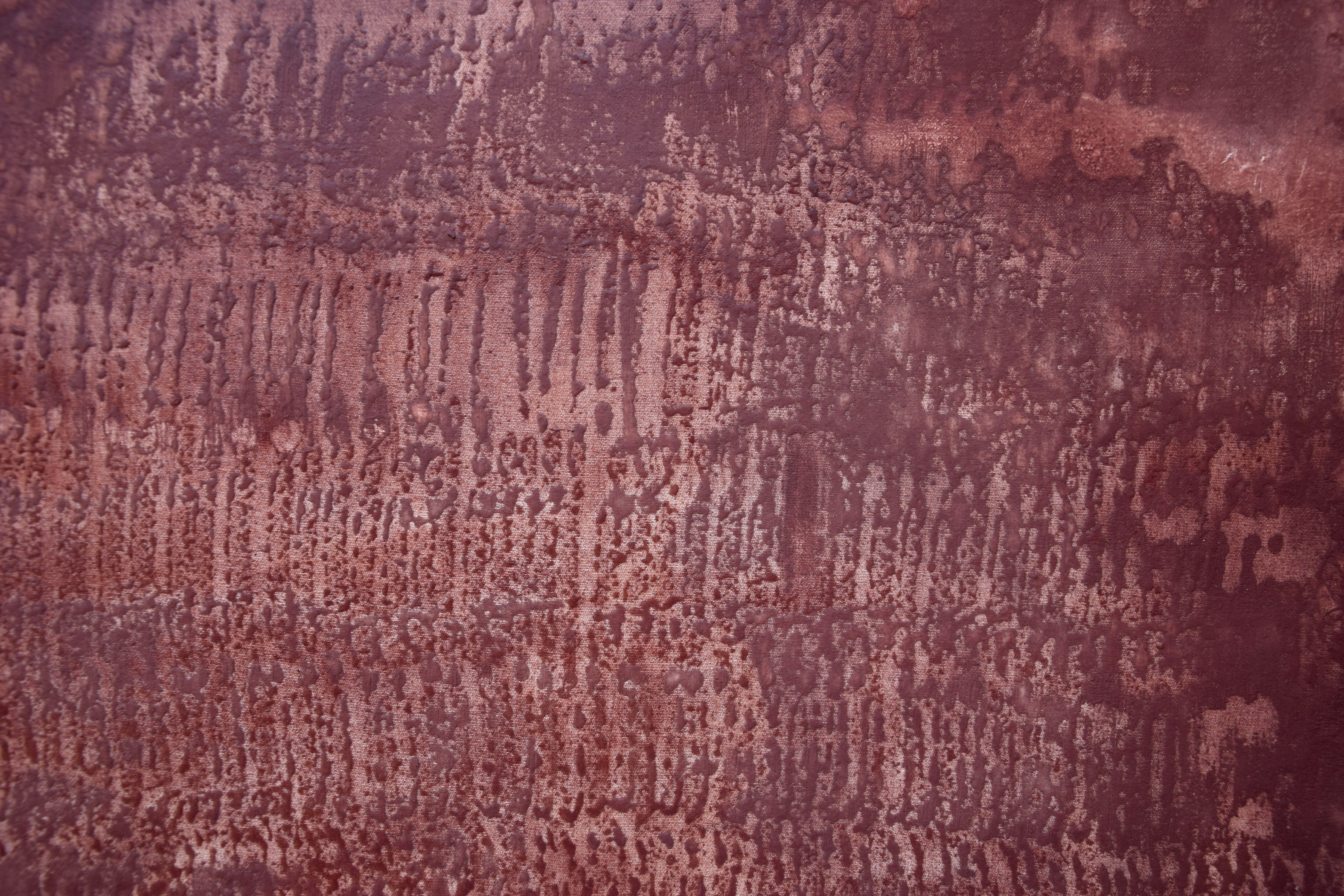 Chauvet/Coagulazione - Artwork