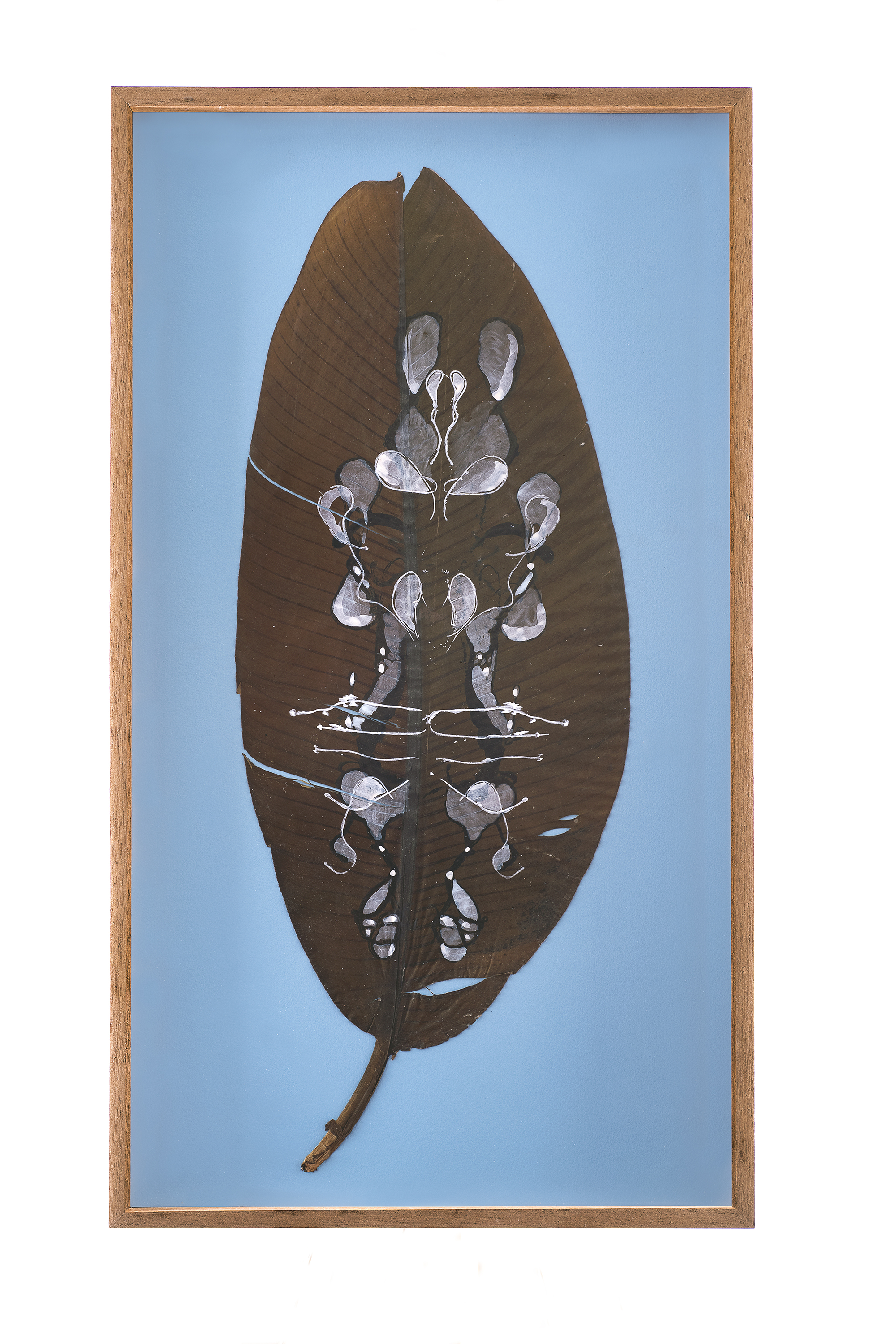 COGLIERE LA VIOLA - Artwork