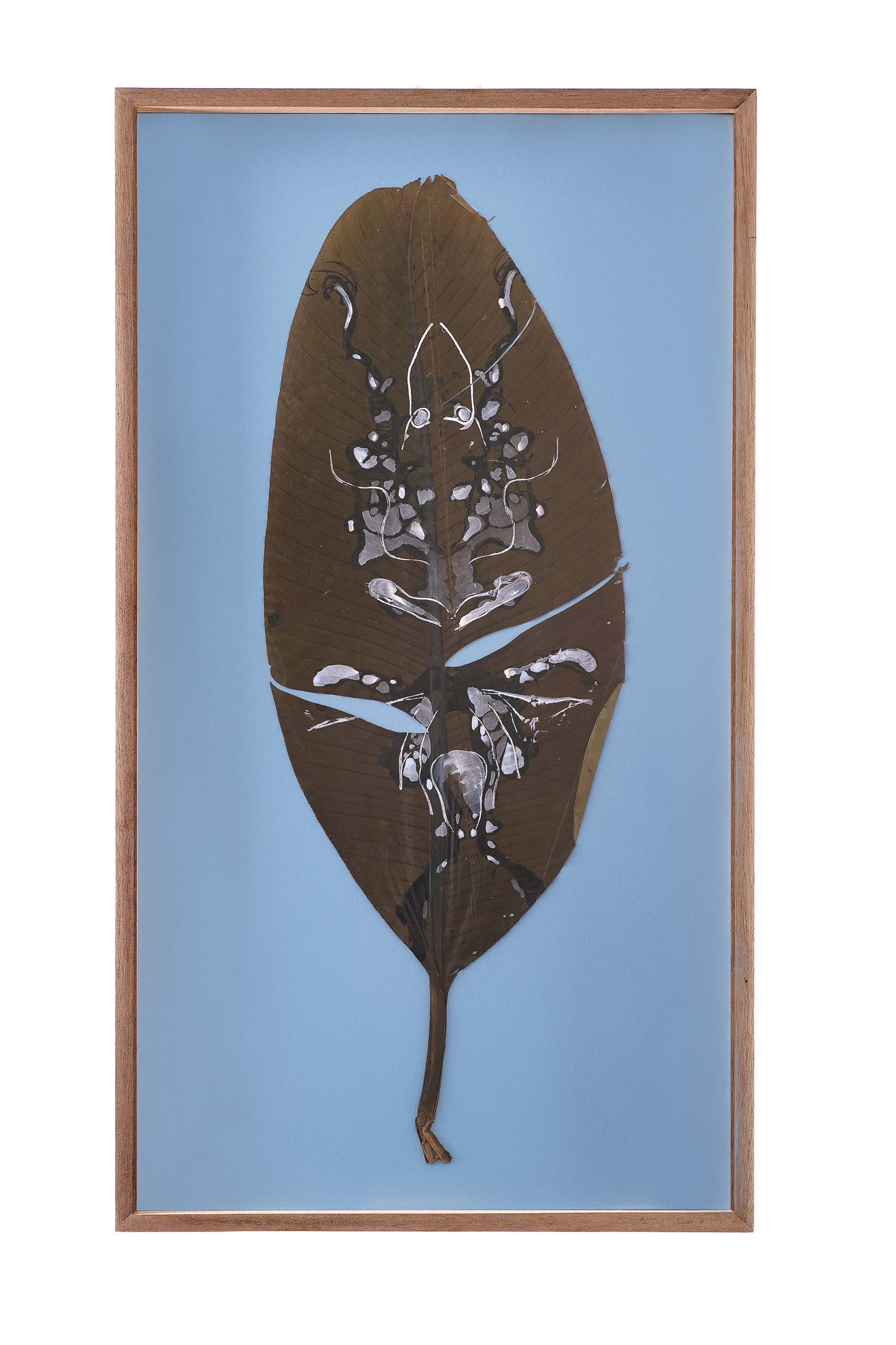 COGLIERE LA VIOLA - Artwork