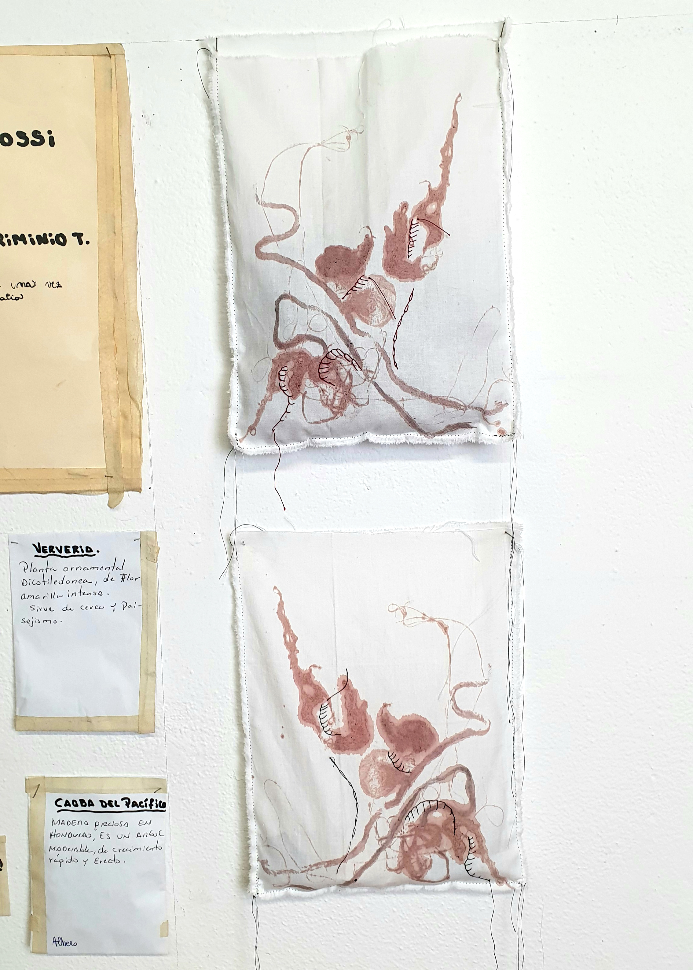 UNISCO LE FORME PER COMPENSARE I RICORDI - Artwork