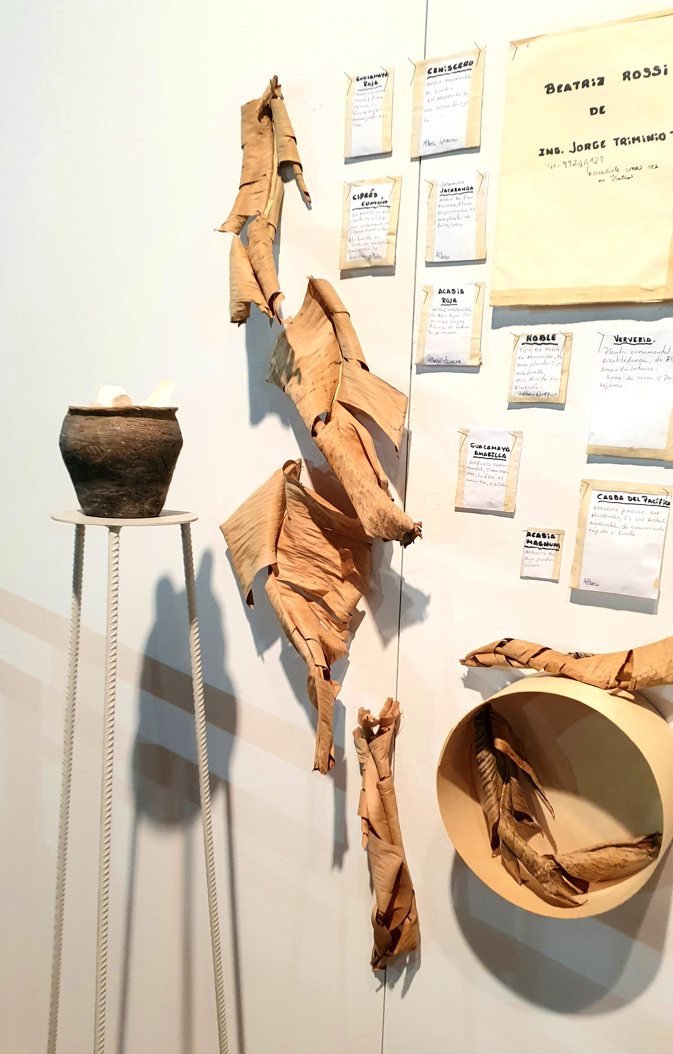 UNISCO LE FORME PER COMPENSARE I RICORDI - Artwork