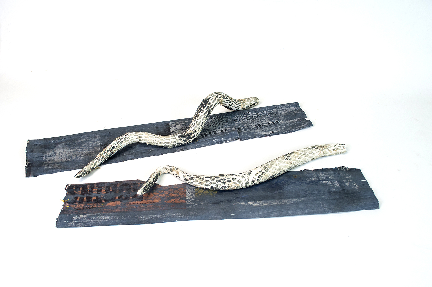 PELLE DI SERPENTE - Artwork