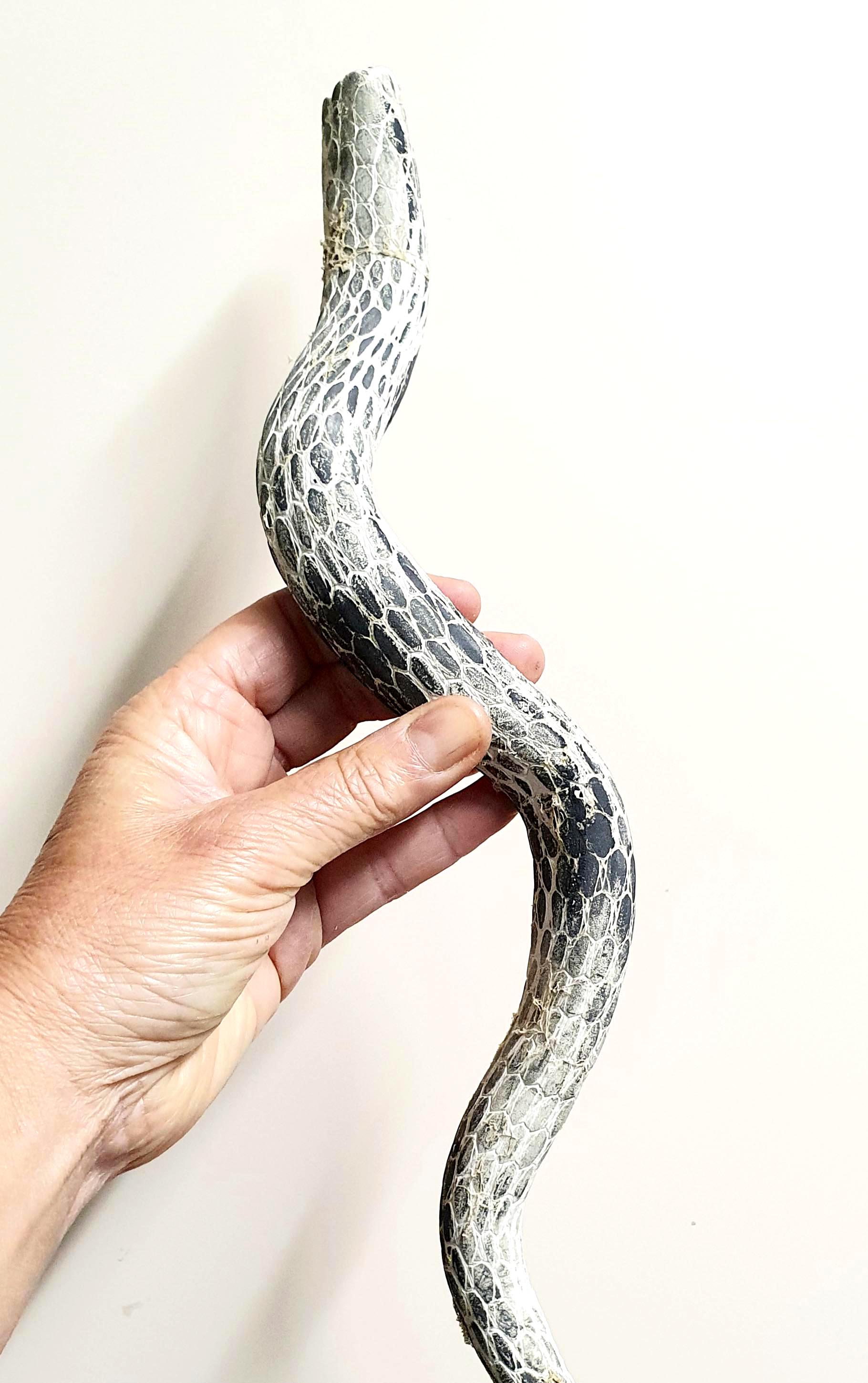 PELLE DI SERPENTE - Artwork