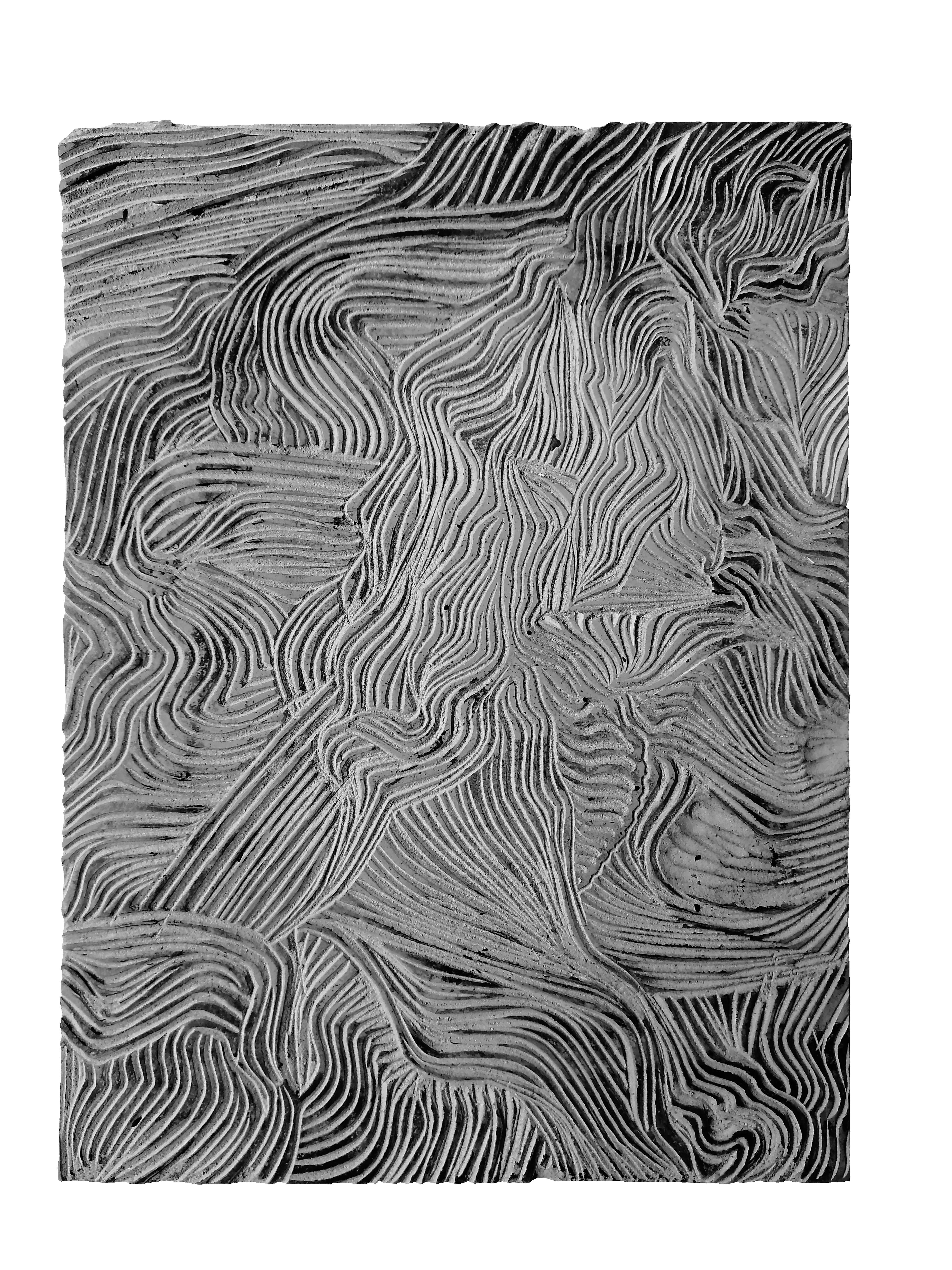 Untitled. Trame - Animal - Artwork