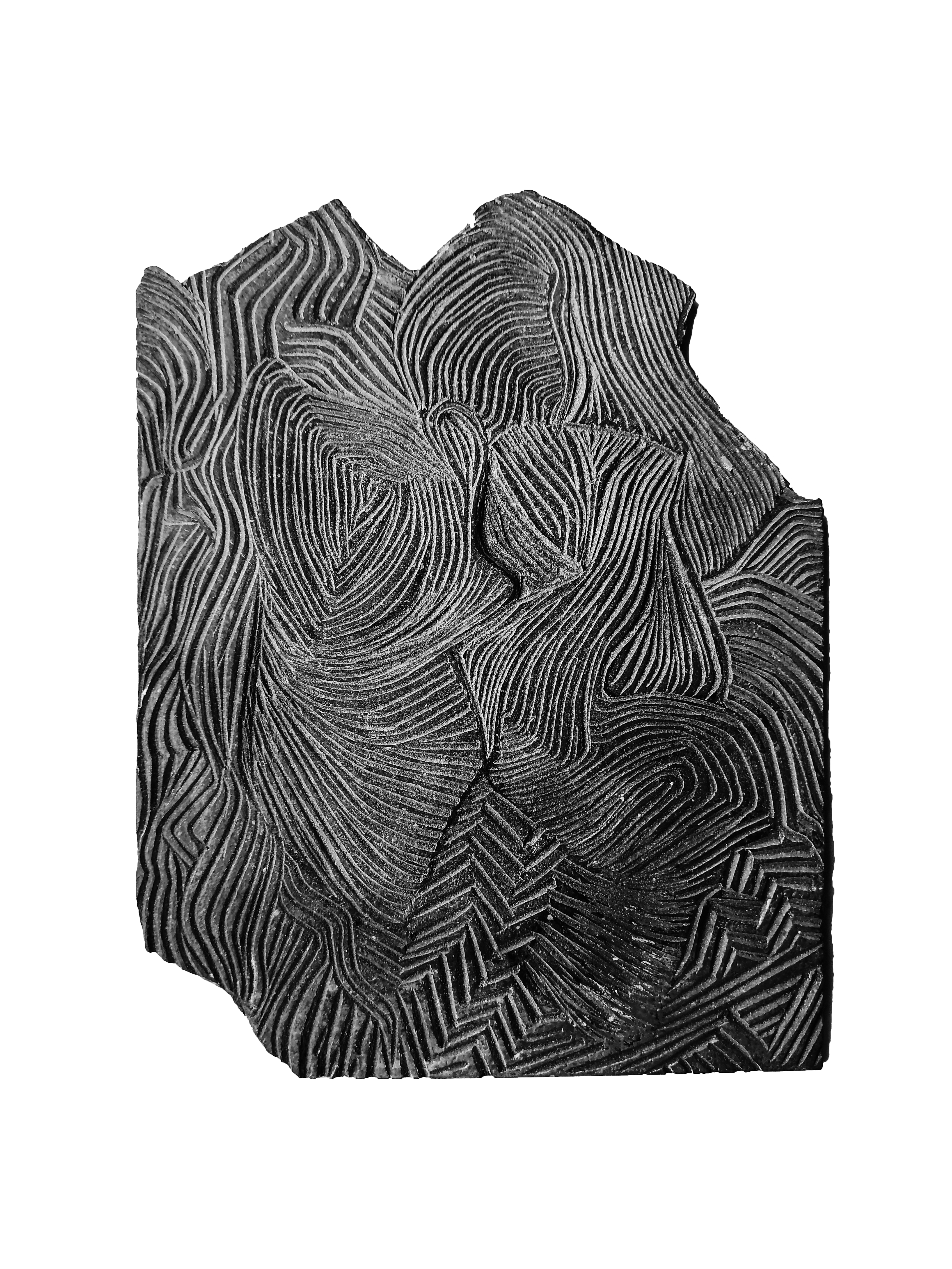 Untitled. Trame - Tropical - Artwork