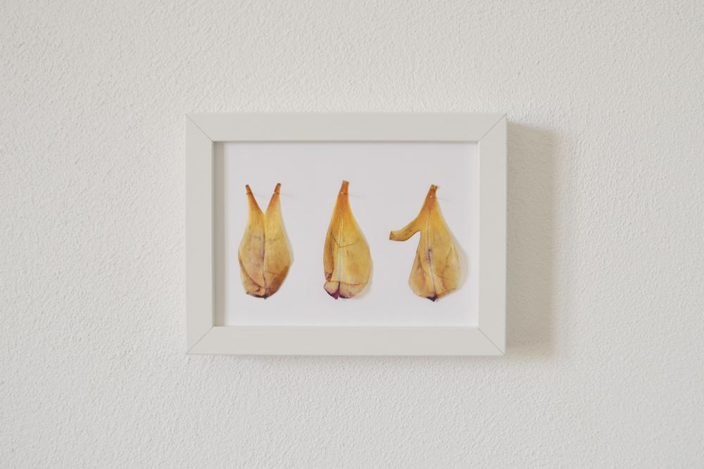 I care - Indicatori di movimento  - Artwork