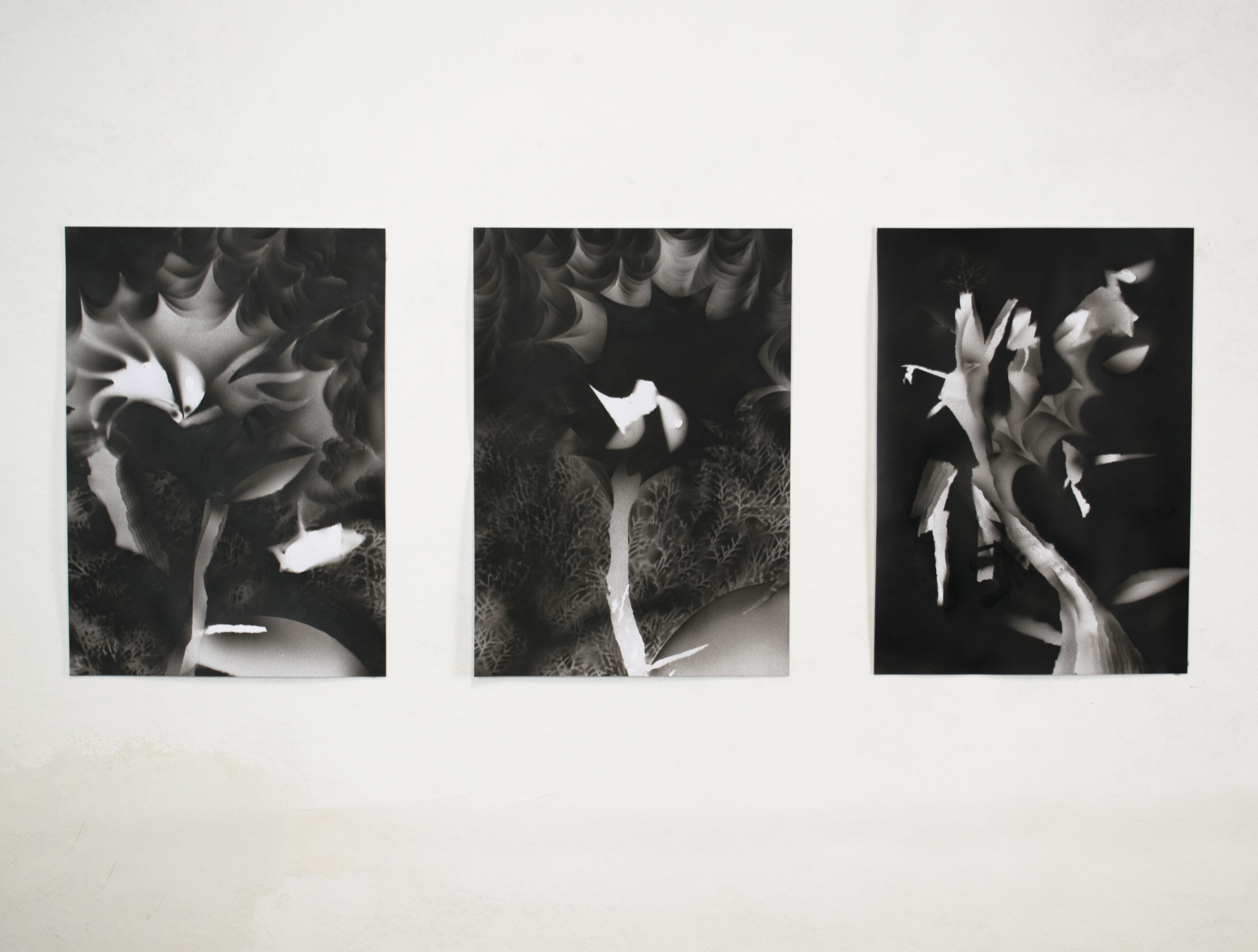 Herbarium #04 - Artwork