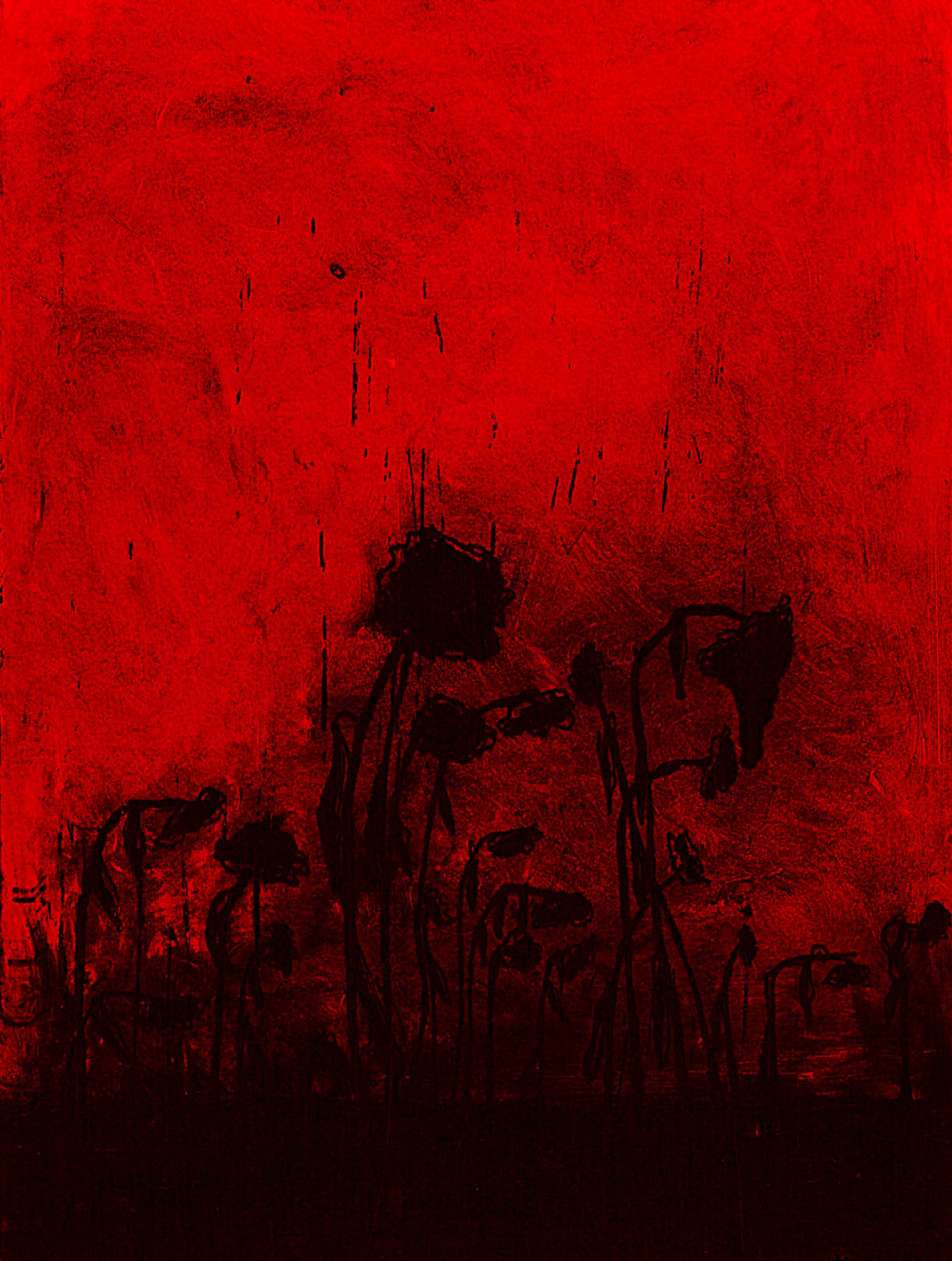 sunflower37.gif - Artwork