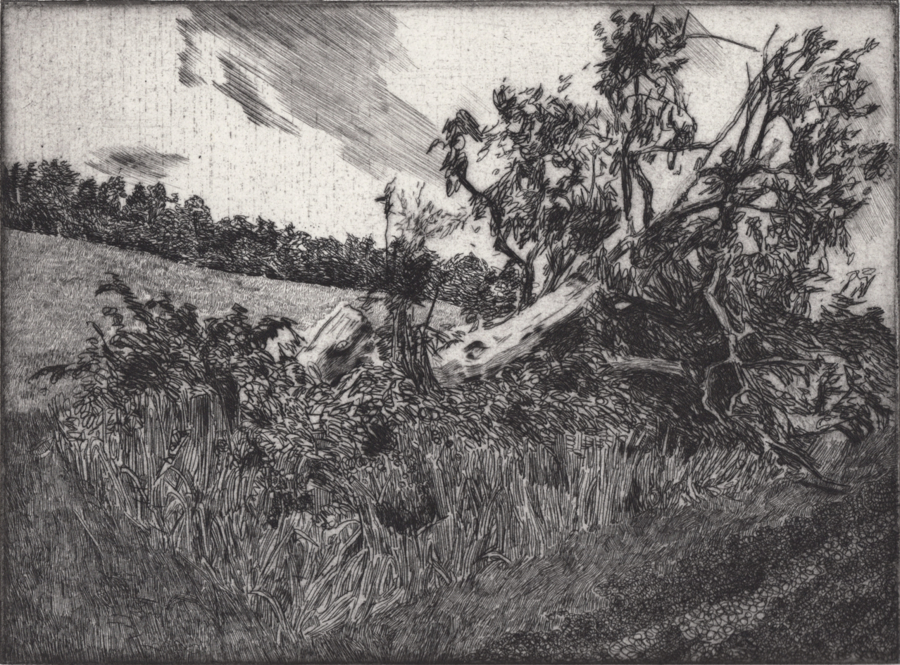 small landscape (Erzgebirge) - Artwork