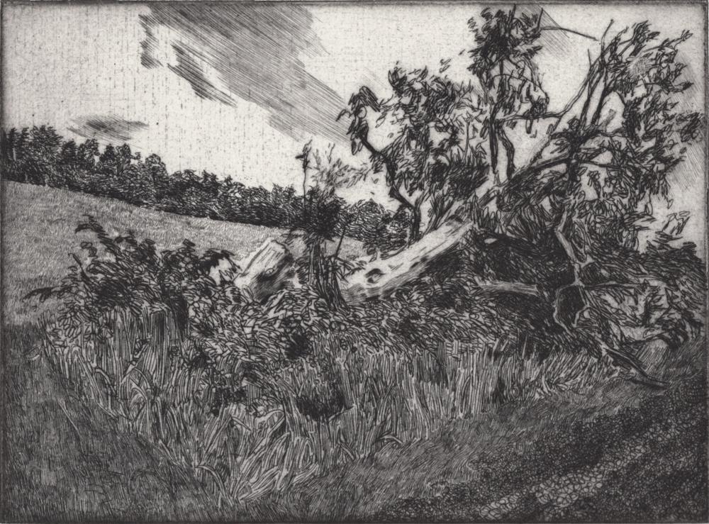 small landscape (Erzgebirge) - Artwork