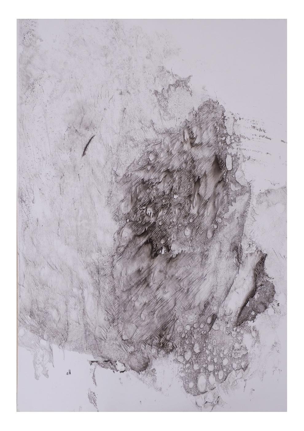 Corpi sottili del paesaggio-Natura 2 - Artwork