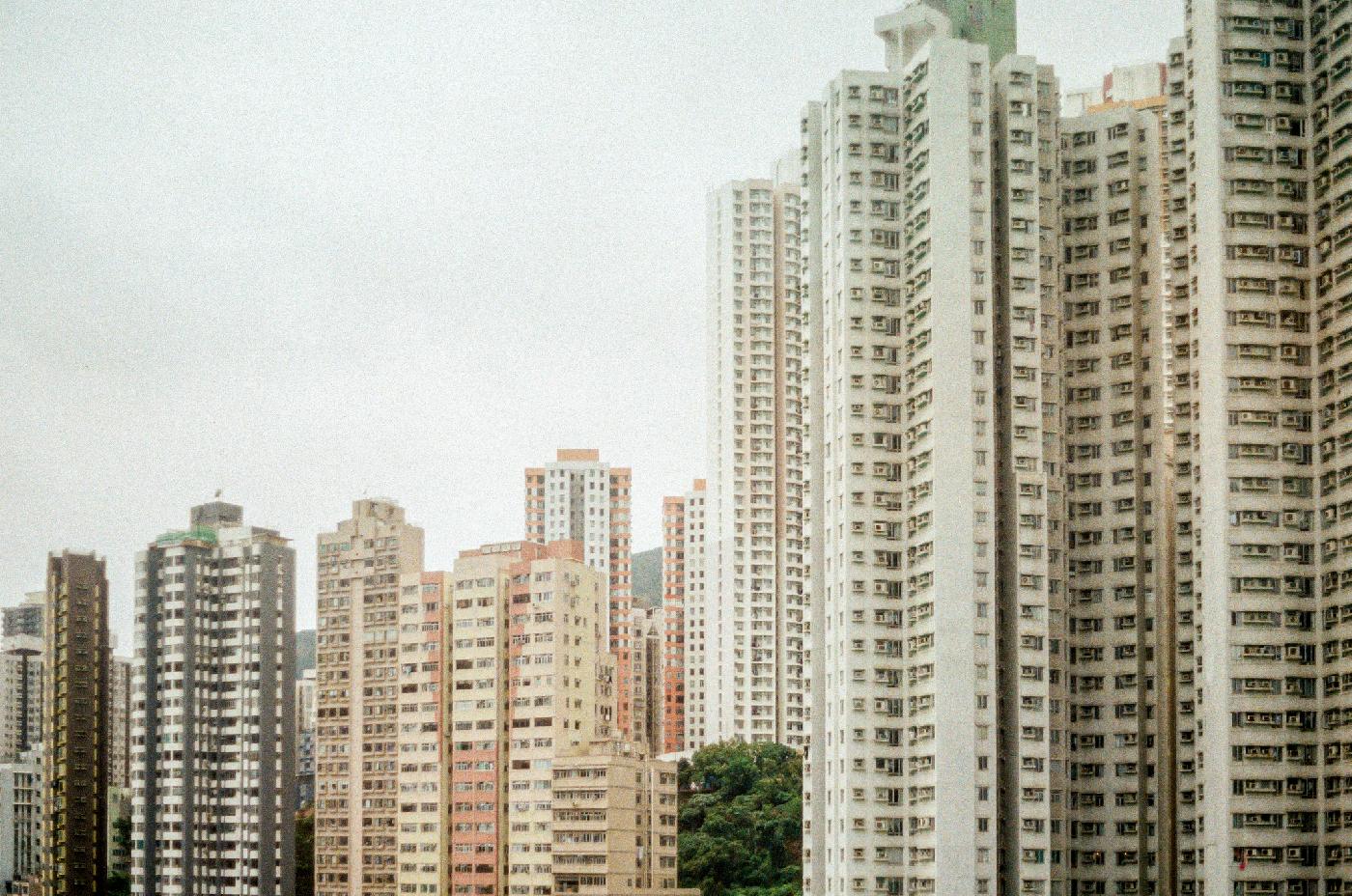 I never promised you  a rose garden - Artwork