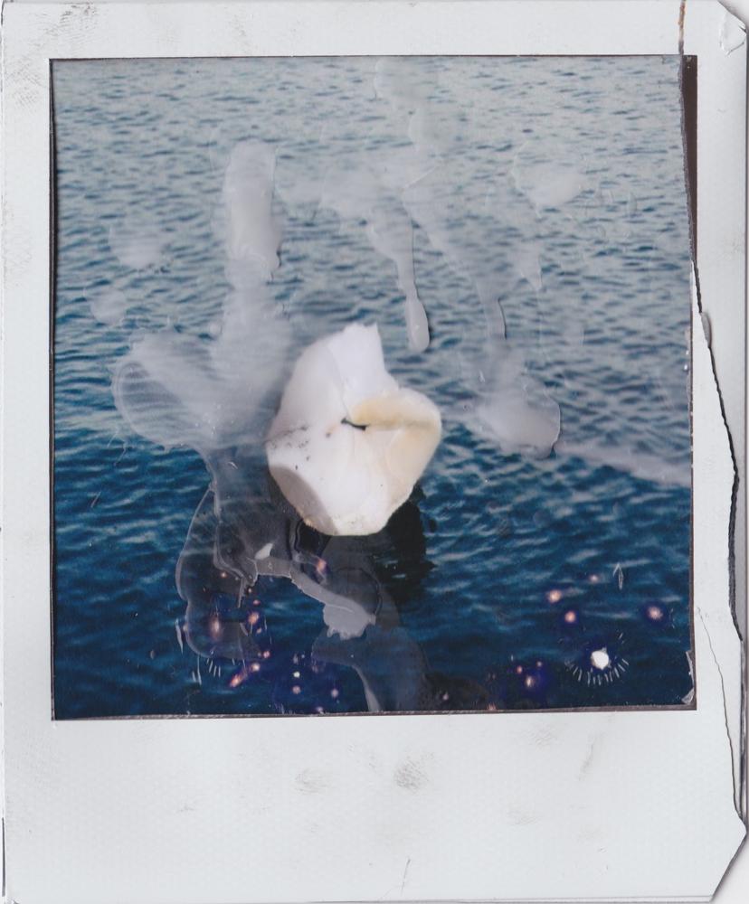 Shi Yun Teo - Artist