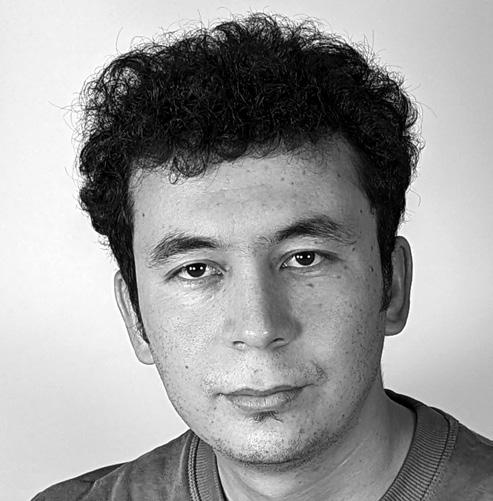 Naseer Turkmani - Artist