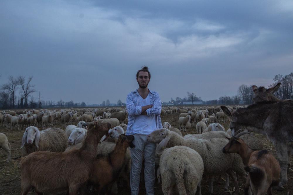 alessandro cavallini - Artist