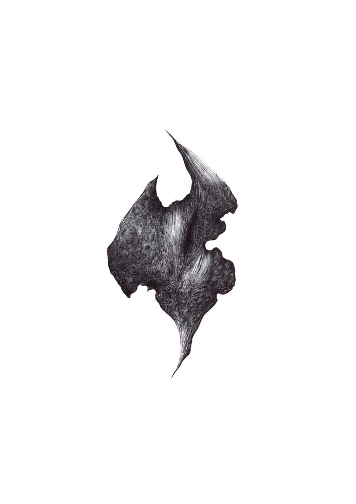 Nera Branca - Artist